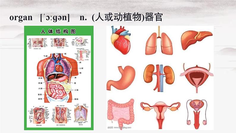 人教版选择性必修第二册Unit5 Words and expressions精品课件2第4页