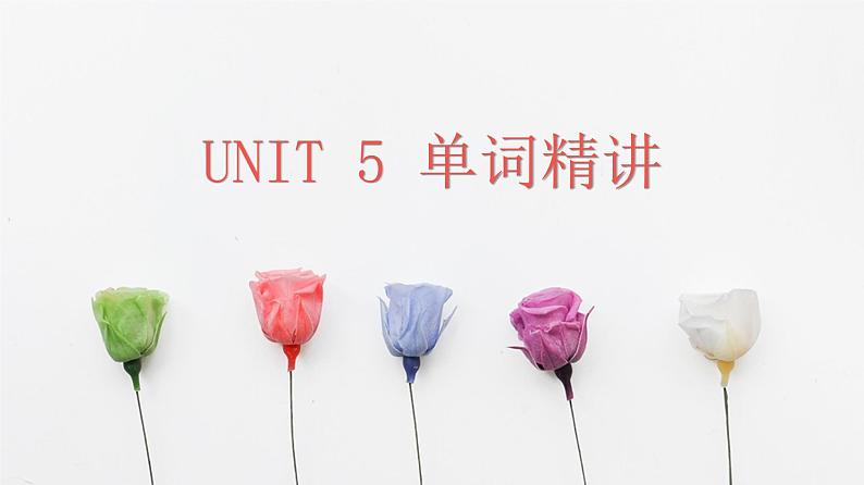 人教版选择性必修第二册Unit5 单词精讲课件第1页