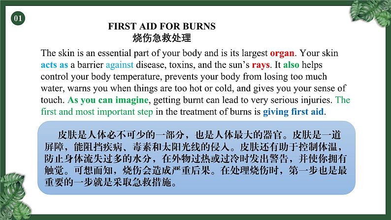 人教版选择性必修第二册Unit5 阅读课-课文译文及知识点讲解课件第4页