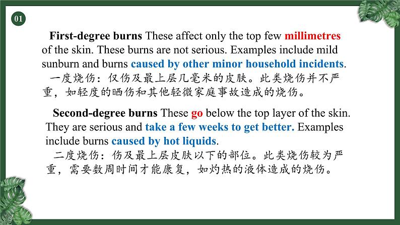 人教版选择性必修第二册Unit5 阅读课-课文译文及知识点讲解课件第6页