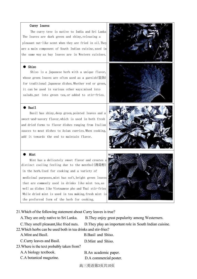 浙江省名校协作体2024-2025学年高三上学期开学联考英语（含答案）第3页