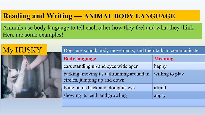 人教版选择性必修第一册Unit4Reading_for_writingUsing_language2精品课件第3页