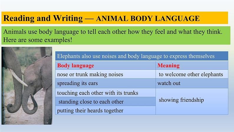 人教版选择性必修第一册Unit4Reading_for_writingUsing_language2精品课件第4页