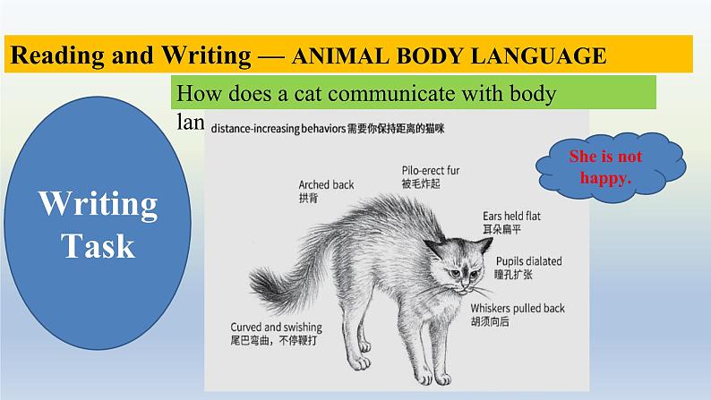 人教版选择性必修第一册Unit4Reading_for_writingUsing_language2精品课件第7页