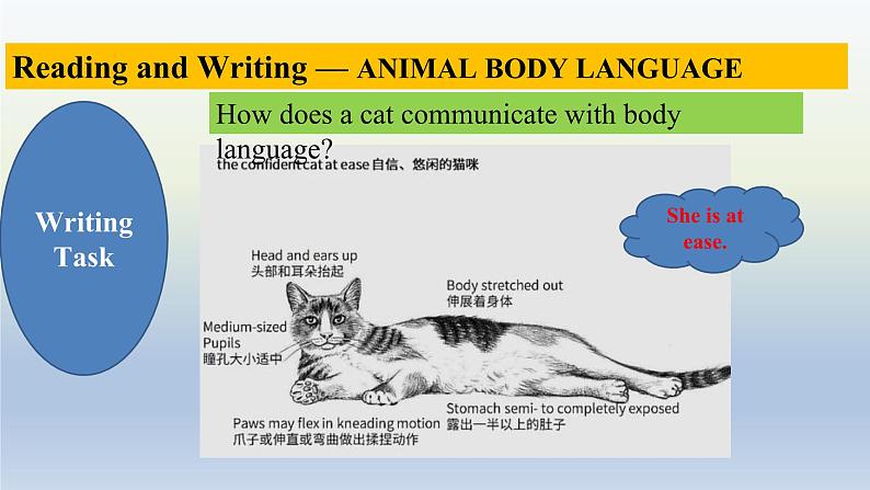 人教版选择性必修第一册Unit4Reading_for_writingUsing_language2精品课件第8页