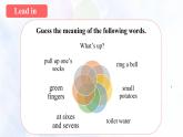外研必修第一册Unit2_Developing_ideas_and_Presenting_ideas名师课件