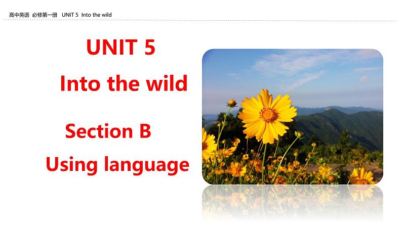 外研必修第一册Unit5_Using_language_知识点精品课件第1页