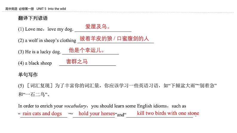 外研必修第一册Unit5_Using_language_知识点精品课件第3页