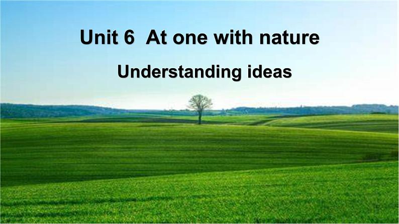 外研必修第一册Unit6_Understanding_ideas_公开课课件第1页