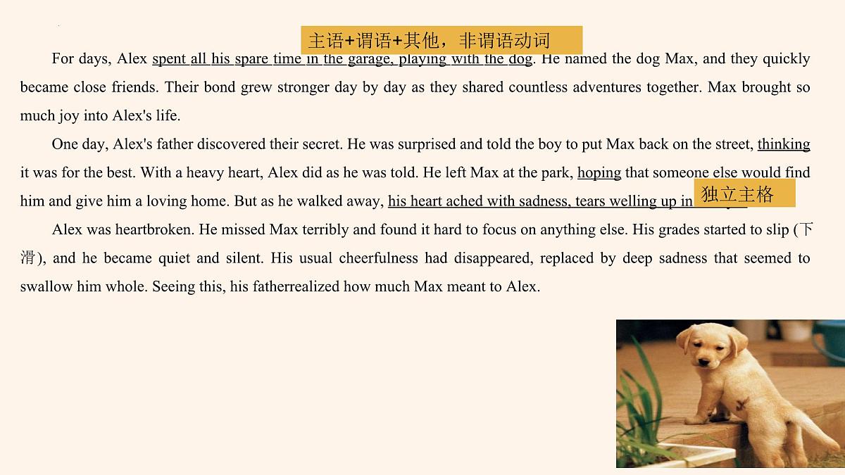 读后续写——人与动物主题 课件-2025届高三英语上学期一轮复习专项第7页