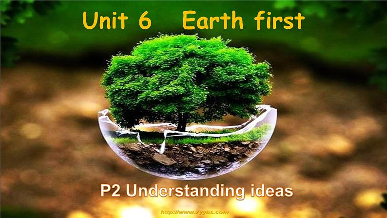 外研必修第二册Unit6_Understanding_ideas_名师课件第1页