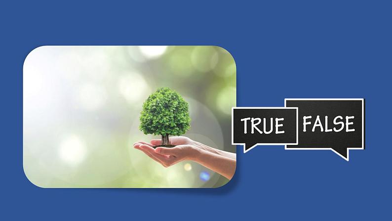 外研必修第二册Unit6_Developing_ideas_and_presenting_ideas_精品课件1第3页