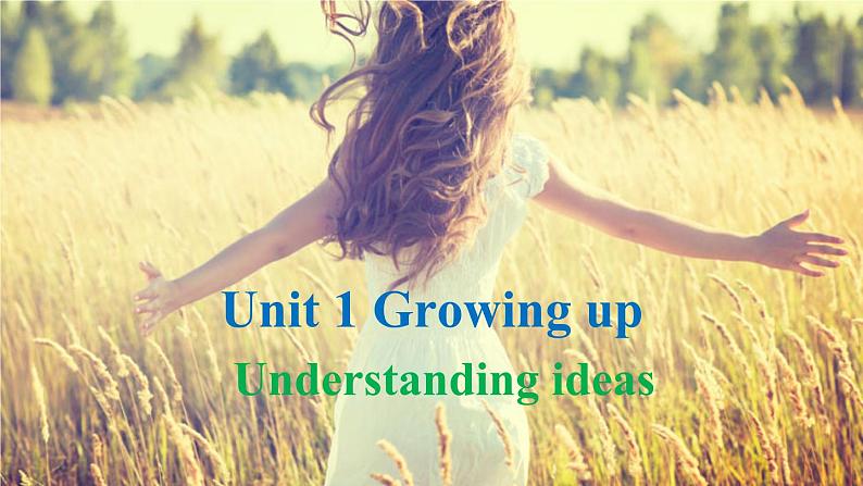 外研选择性必修第二册Unit1 Understanding ideas 公开课课件第1页