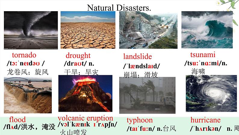 Unit4 Natural Disasters 单词课件第3页