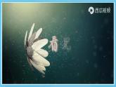 人教版（2019）高中英语必修第三册Unit 2《 Morals and Virtues》Reading and Thinking 课件
