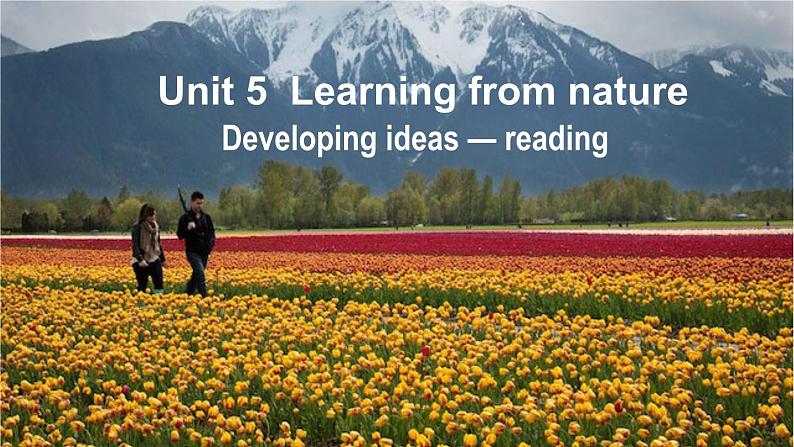 外研选择性必修第三册Unit5 Developing ideas-reading 公开课课件第1页