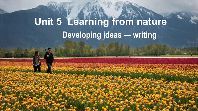 外研选择性必修第三册Unit5 Developing ideas-writing 公开课课件第1页