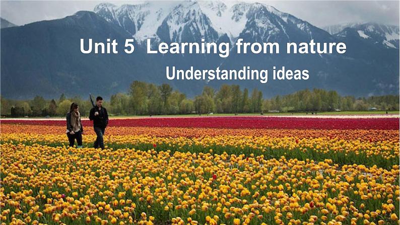 外研选择性必修第三册Unit5 Understanding ideas 公开课课件第1页