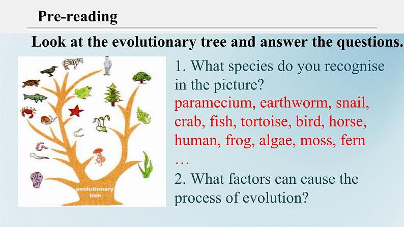 外研选择性必修第一册Unit5 Understanding ideas 公开课课件第6页