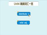 外研选择性必修第四册Unit4 高频词汇课件（二）