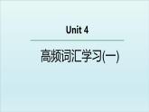 外研选择性必修第四册Unit4 高频词汇课件（一）
