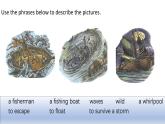 Unit 5 Humans and nature Lesson 1 A Sea Story 課件-2024-2025學(xué)年高中英語北師大版（2019）必修第二冊