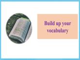 人教版2019选择性必修第二册 高二英语 Unit 4《JOURNEY ACROSS A VAST LAND》Learning About Language 课件