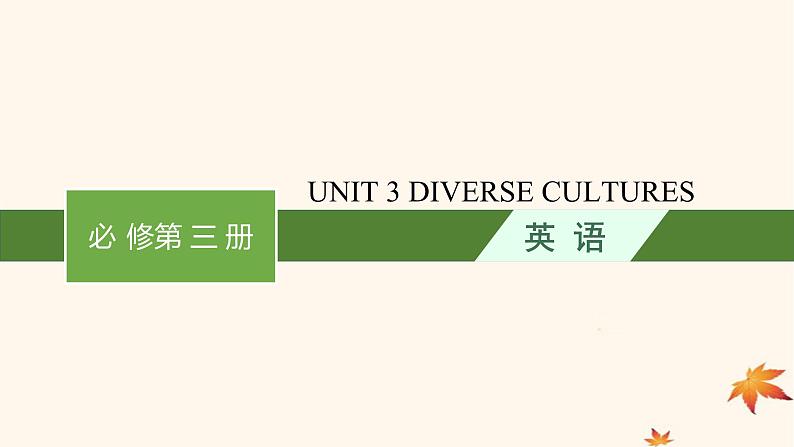 适用于新高考新教材广西专版2025届高考英语一轮总复习必修第三册Unit3DiverseCultures课件新人教版第1页