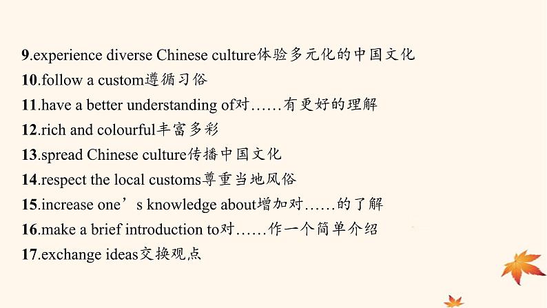 适用于新高考新教材广西专版2025届高考英语一轮总复习必修第三册Unit3DiverseCultures课件新人教版第6页