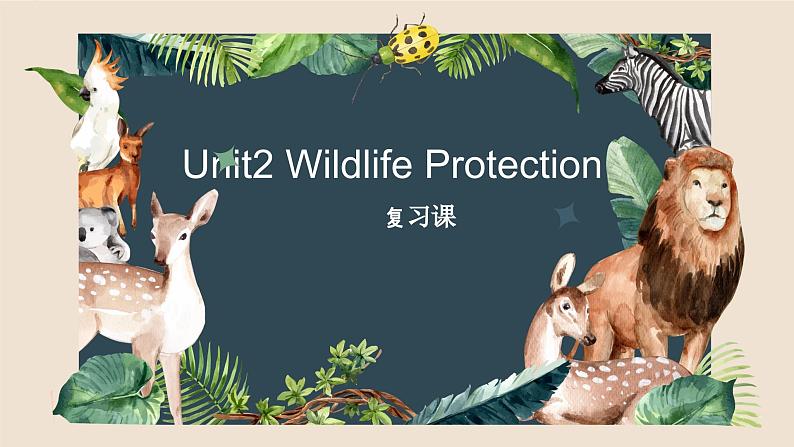 Unit 2 Wildlife protection 单元综合 课件 2024-2025学年高中英语人教版（2019）必修第二册第1页