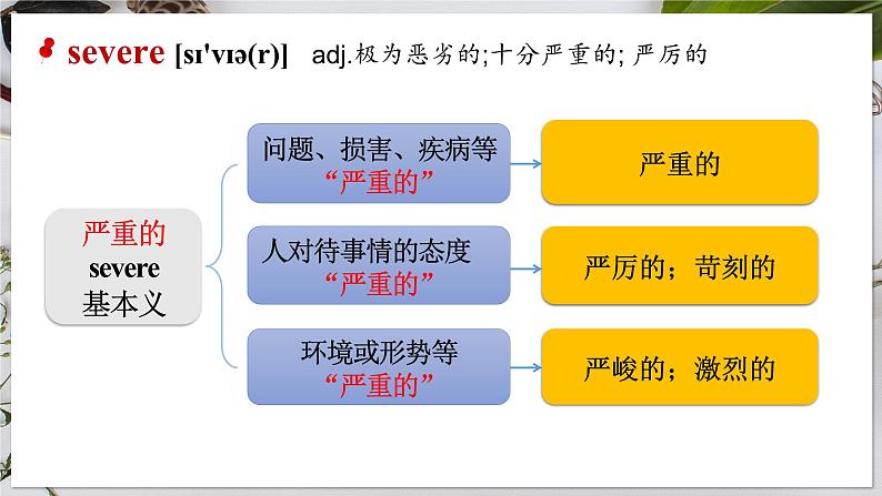 【人教版】英语选择性必修二 Unit 1 Science and Scientists   Words and Expressions（课件）第3页