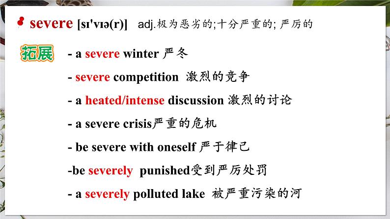 【人教版】英语选择性必修二 Unit 1 Science and Scientists   Words and Expressions（课件）第4页