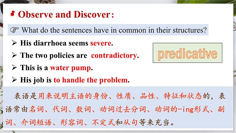 选必二 Unit 1 Science and Scientists Discovering Useful Structures（课件） 第5页