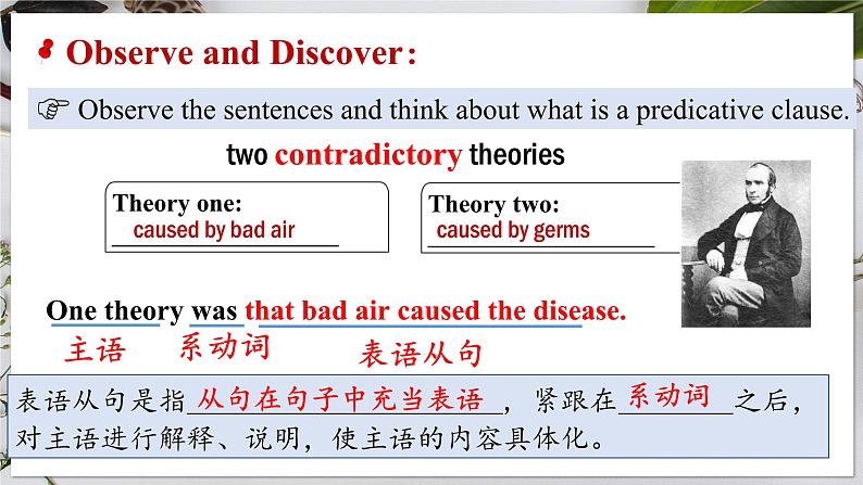 选必二 Unit 1 Science and Scientists Discovering Useful Structures（课件） 第6页