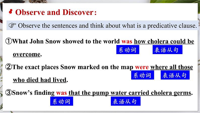 选必二 Unit 1 Science and Scientists Discovering Useful Structures（课件） 第8页