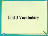 Unit 3 Faster, higher, stronger Vocabulary  課件高中英語外研版（2019）選擇性必修第一冊(cè)