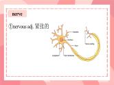 Unit 3 Faster, higher, stronger Words and expressions  课件高中英语外研版（2019）选择性必修第一册