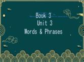 Unit 3 The world of science Words & Phrases 课件英语外研版（2019）必修第三册