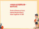 Unit 4 Meeting the muse Words & Phrasese 課件高中英語外研版（2019）選擇性必修第一冊(cè)