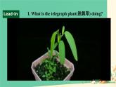 Unit 5 Revealing nature Developing ideas 課件高中英語外研版（2019）選擇性必修第一冊(cè)