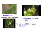 Unit 5 Revealing nature Developing ideas 课件高中英语外研版（2019）选择性必修第一册