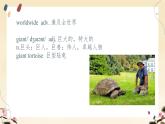 Unit 5 Revealing nature Words&Phrases 課件高中英語外研版（2019）選擇性必修第一冊(cè)