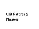 Unit 6 Nurturing nature Words & Phrasese 課件高中英語外研版（2019）選擇性必修第一冊(cè)