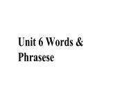 Unit 6 Nurturing nature Words & Phrasese 课件高中英语外研版（2019）选择性必修第一册