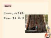 Unit 6 Nurturing nature Words & expressions 课件高中英语外研版（2019）选择性必修第一册