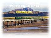 Unit 6 Nurturing nature Understanding ideas课件高中英语外研版（2019）选择性必修第一册