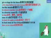 Unit 6 Disaster and hope Words and expressions 课件-高一英语外研版（2019）必修第三册