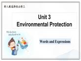 选必三 Unit 3 Environmental Protection  Words and Expressions（课件）- 2024-2025学年高二下学期英语（人教版2019选择性必修第三册）