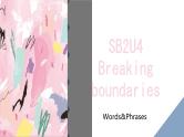 Unit 4 Breaking boundaries Words&Phrases课件高中英语外研版（2019）选择性必修第二册