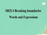 Unit 4 Breaking boundaries Words and Expressions 课件高中英语外研版（2019）选择性必修第二册